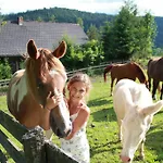 Gasthof Sonnwendhof Ramsau am Dachstein