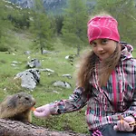 Gasthof Sonnwendhof Ramsau am Dachstein