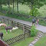 Sonnwendhof Ramsau am Dachstein