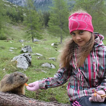 Konukevi Sonnwendhof Ramsau am Dachstein