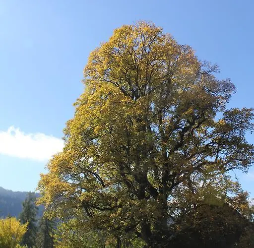 Sonnwendhof Vendégház