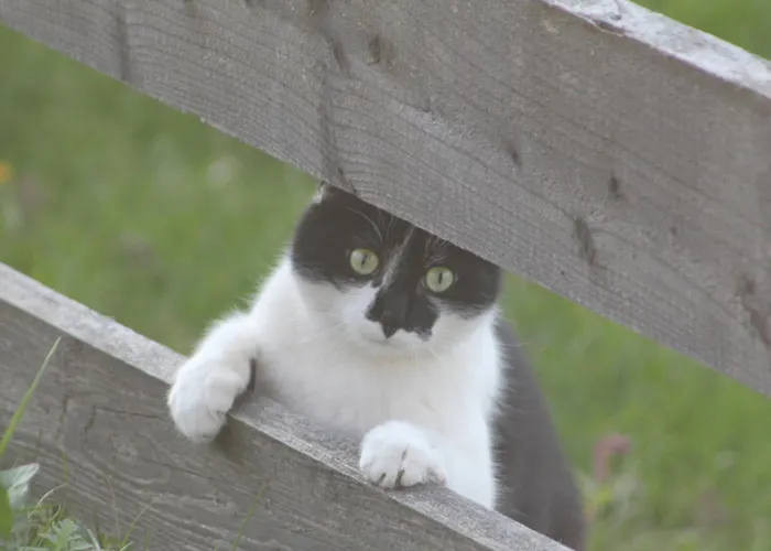 Vendégház Sonnwendhof