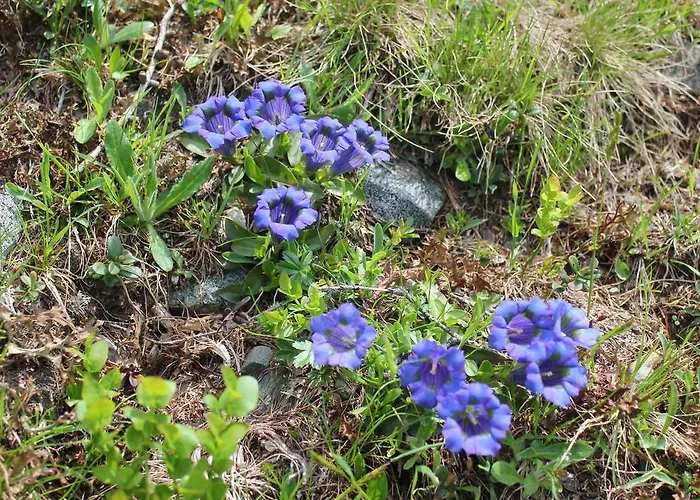 Gasthof Sonnwendhof 3*