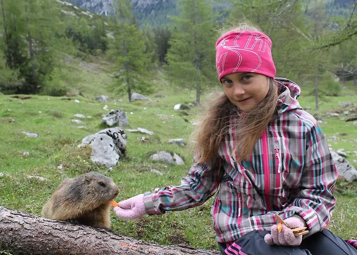 Vendégház Sonnwendhof Ramsau am Dachstein